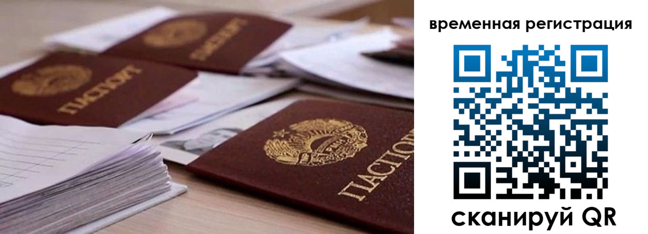 временная регистрация поиск в Снежногорске
